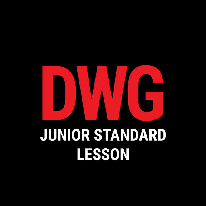 Junior Standard Lesson